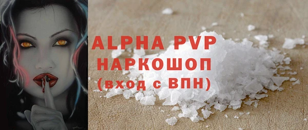 PSILOCYBIN Гусиноозёрск
