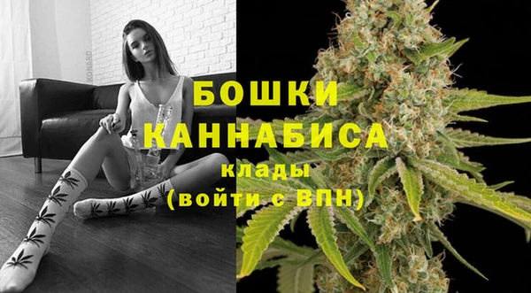 мяу мяу кристалл Гусь-Хрустальный
