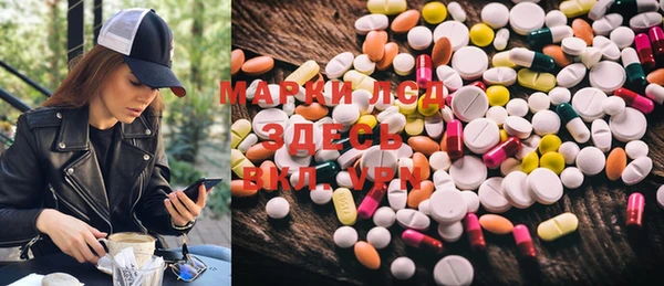 PSILOCYBIN Гусиноозёрск