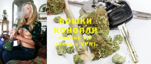 PSILOCYBIN Гусиноозёрск